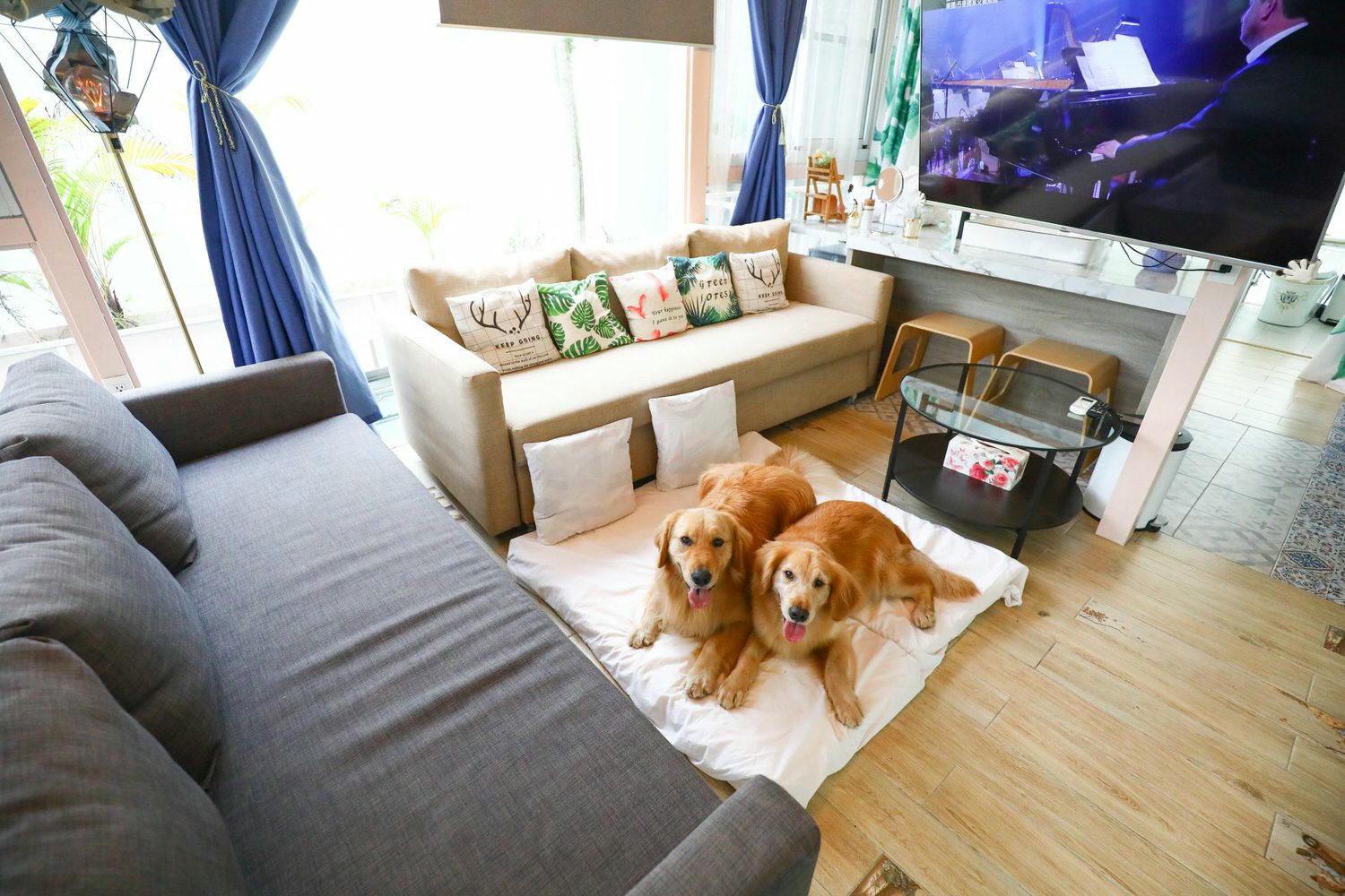 苗栗公館｜福村養生農場。高級精品民宿、森林中的絕美夢幻玻璃屋、一泊三食、寵物友善民宿