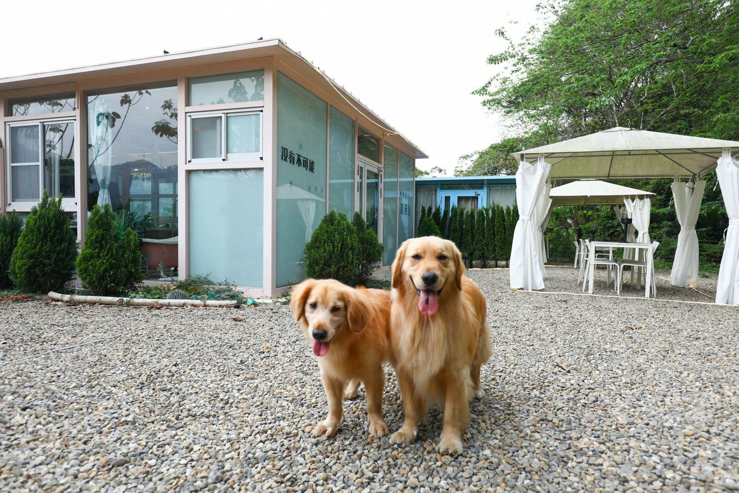苗栗公館｜福村養生農場。高級精品民宿、森林中的絕美夢幻玻璃屋、一泊三食、寵物友善民宿