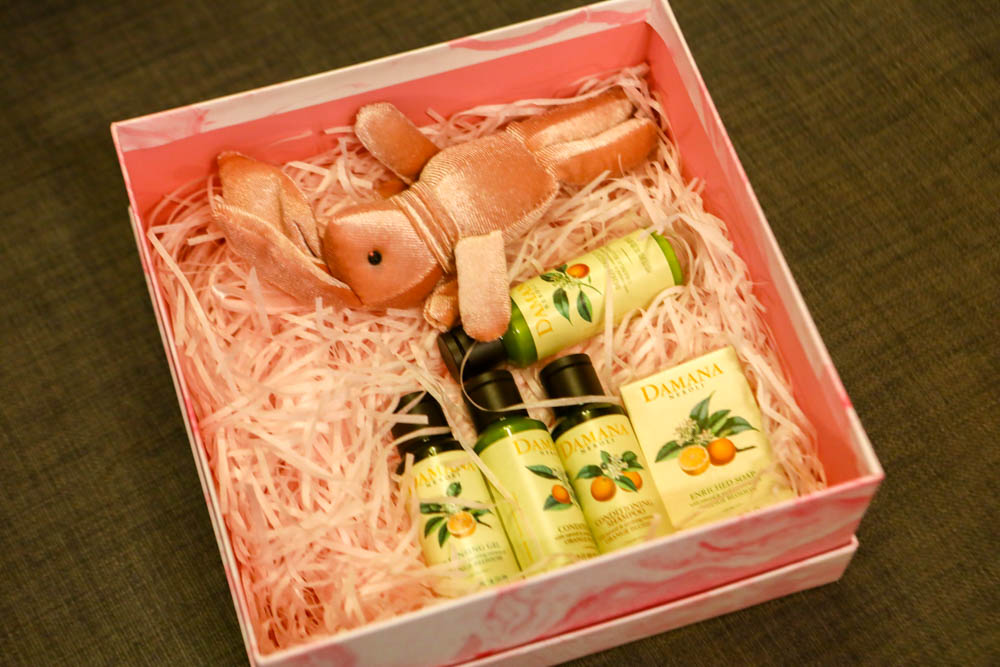 苗栗公館｜福村養生農場。高級精品民宿、森林中的絕美夢幻玻璃屋、一泊三食、寵物友善民宿