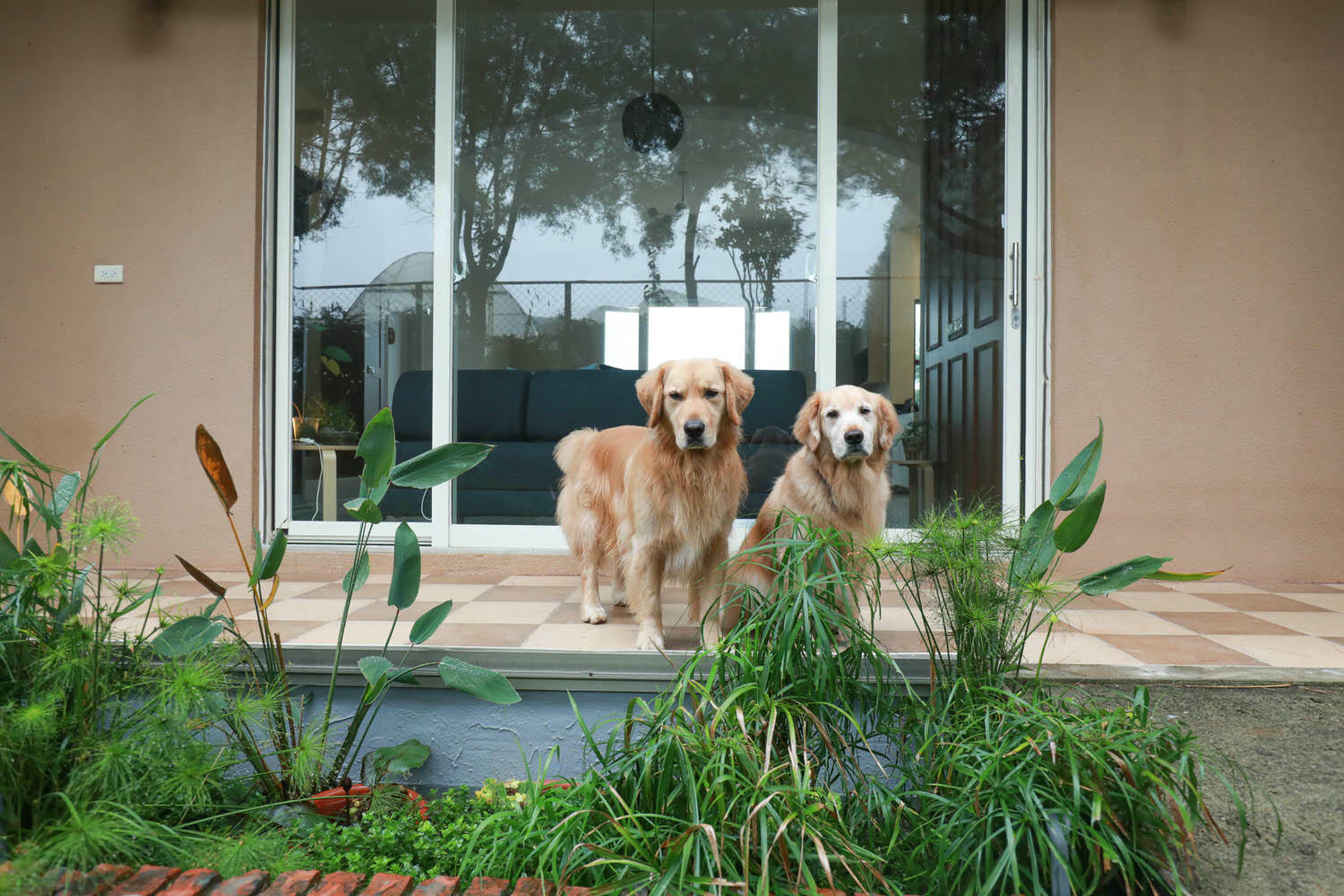 南投埔里｜秘密禾必宓山民宿。遠離塵囂、隱藏在森林中的秘境民宿、南投寵物友善民宿