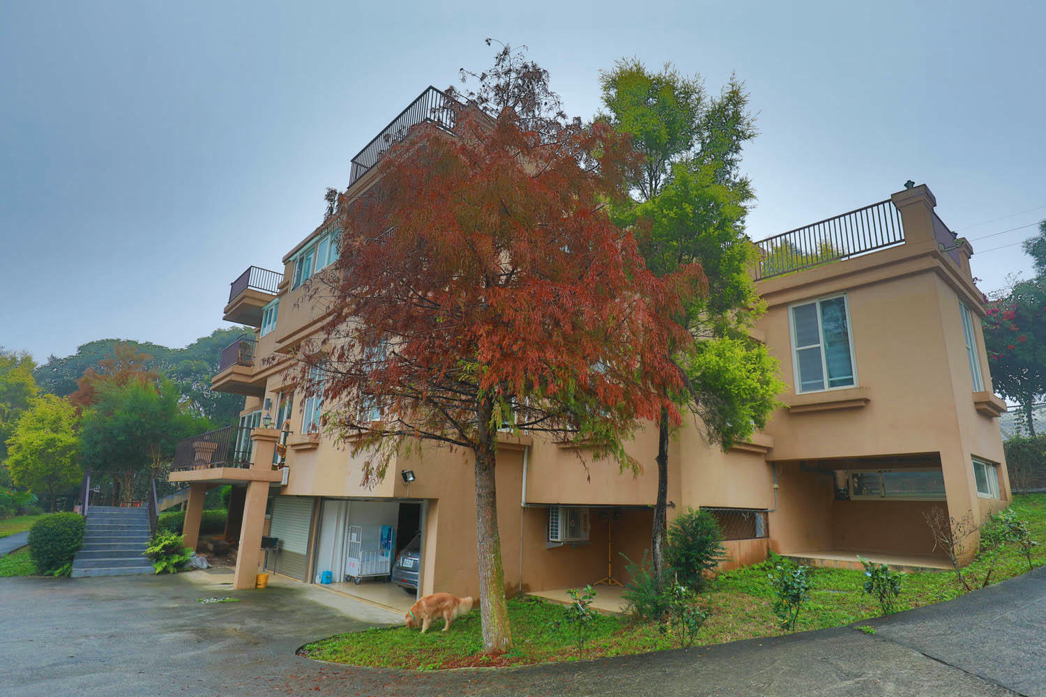 南投埔里｜秘密禾必宓山民宿。遠離塵囂、隱藏在森林中的秘境民宿、南投寵物友善民宿