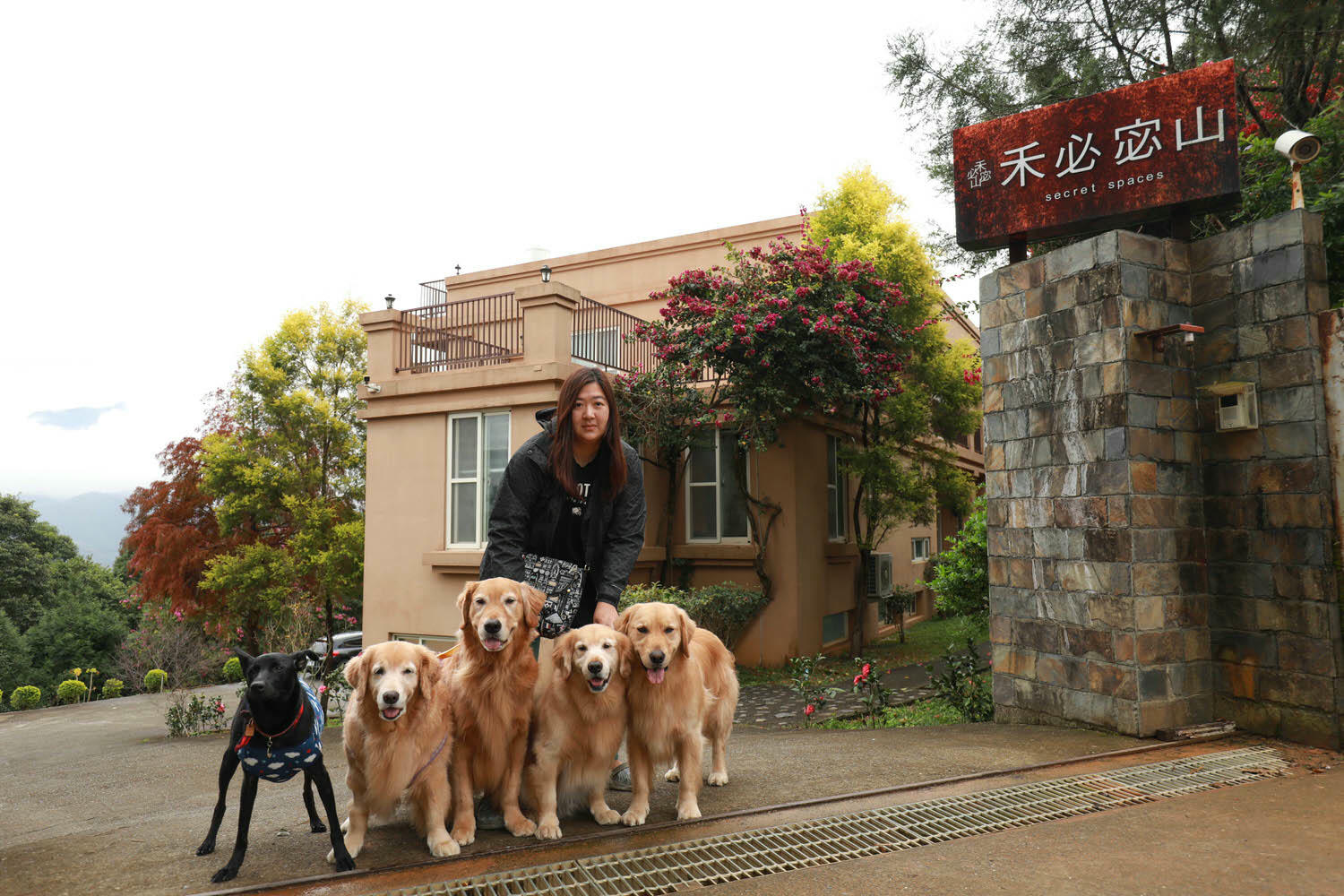 南投埔里｜秘密禾必宓山民宿。遠離塵囂、隱藏在森林中的秘境民宿、南投寵物友善民宿