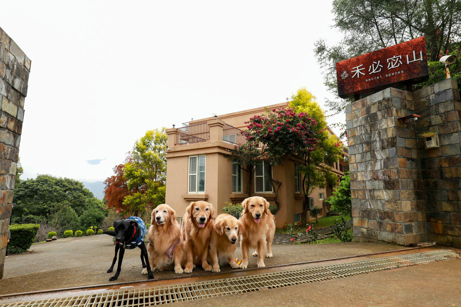 南投埔里｜秘密禾必宓山民宿。遠離塵囂、隱藏在森林中的秘境民宿、南投寵物友善民宿