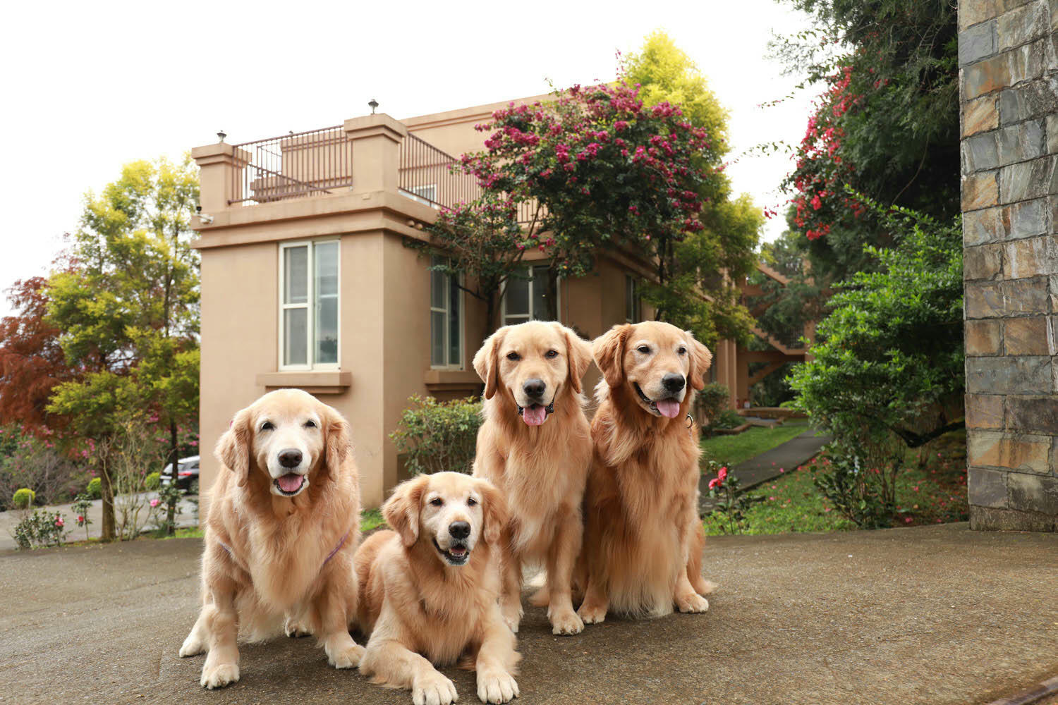 南投埔里｜秘密禾必宓山民宿。遠離塵囂、隱藏在森林中的秘境民宿、南投寵物友善民宿