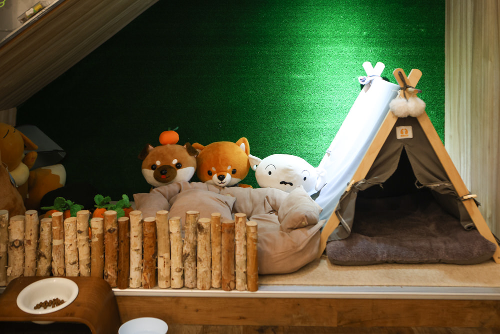 新北三峽樹林美食｜私嚐の吃飯北大店。寵物友善餐廳、咖喱丼飯烏龍麵、北大特區美食、超人氣咖喱手作飯