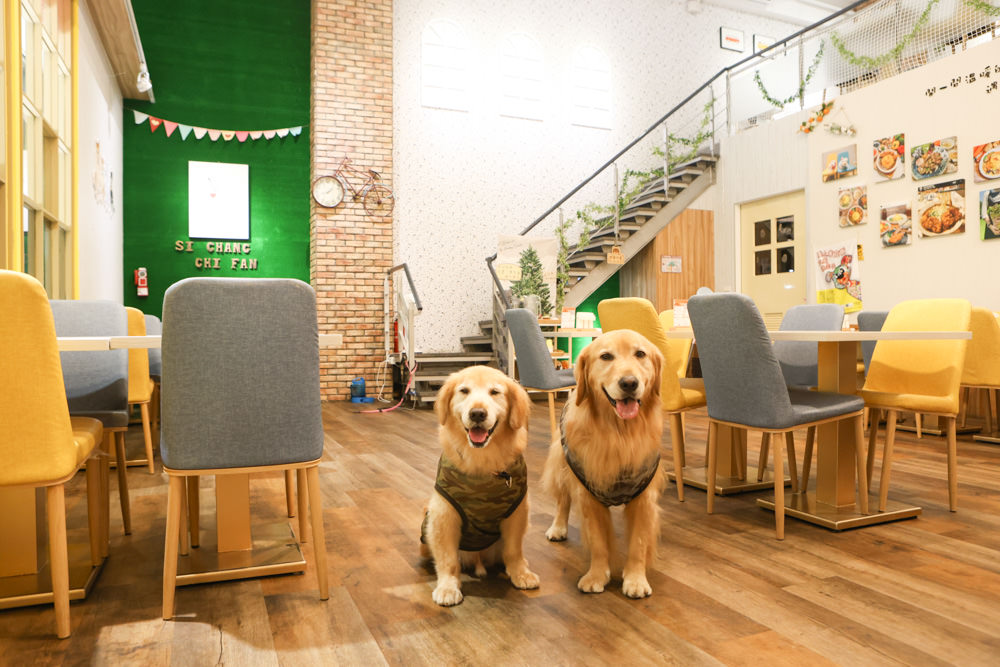 新北三峽樹林美食｜私嚐の吃飯北大店。寵物友善餐廳、咖喱丼飯烏龍麵、北大特區美食、超人氣咖喱手作飯