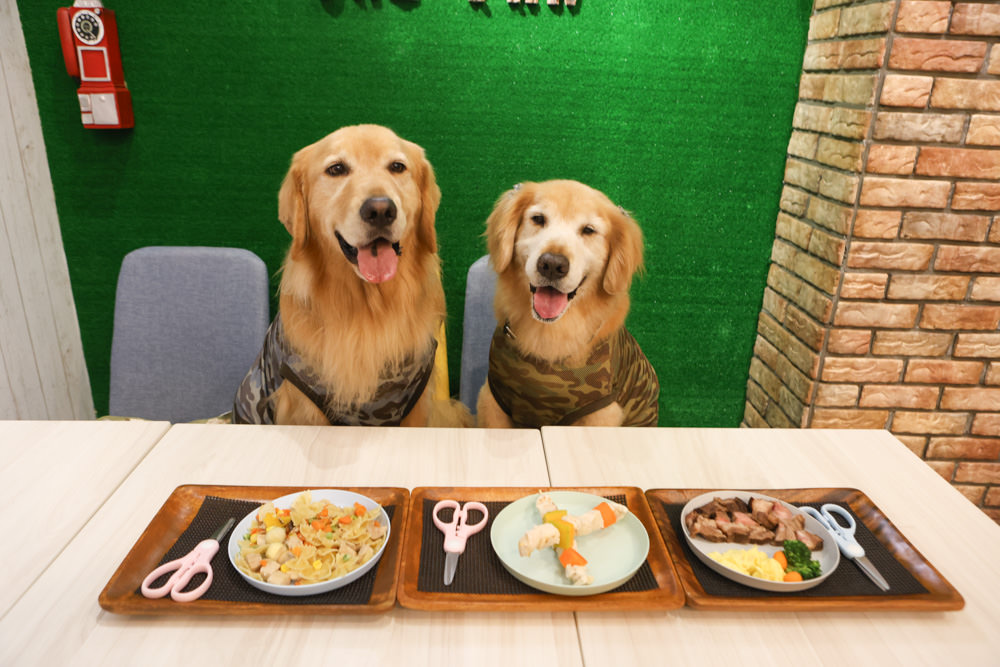 新北三峽樹林美食｜私嚐の吃飯北大店。寵物友善餐廳、咖喱丼飯烏龍麵、北大特區美食、超人氣咖喱手作飯