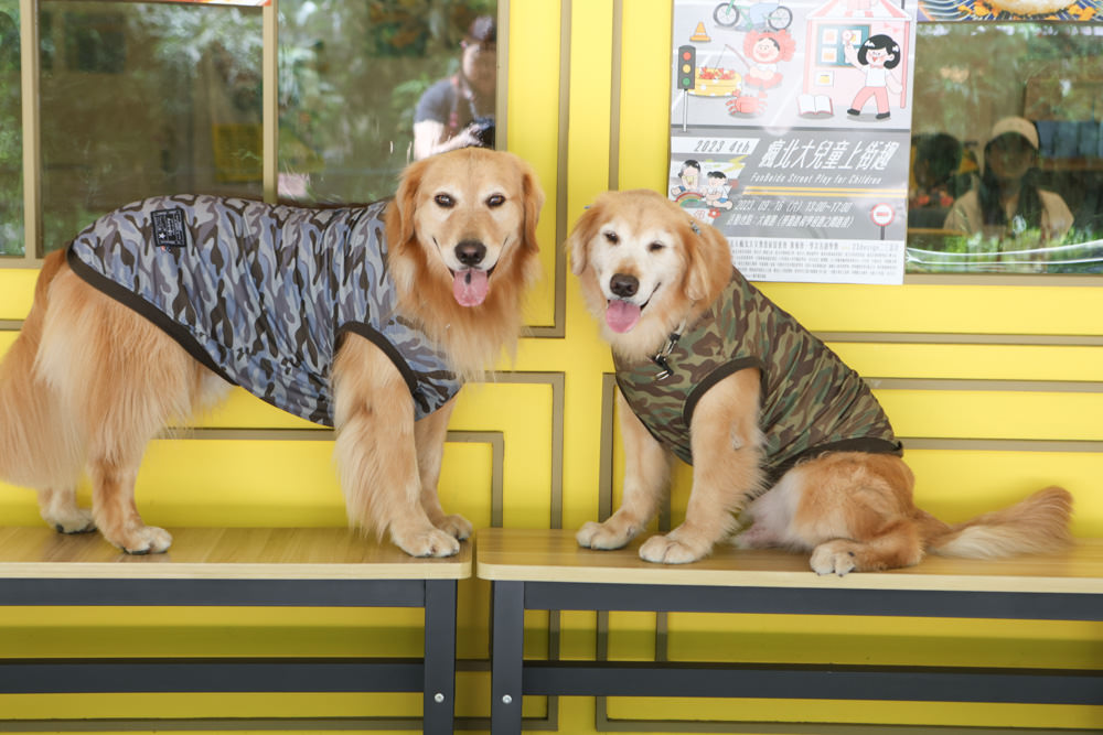 新北三峽樹林美食｜私嚐の吃飯北大店。寵物友善餐廳、咖喱丼飯烏龍麵、北大特區美食、超人氣咖喱手作飯
