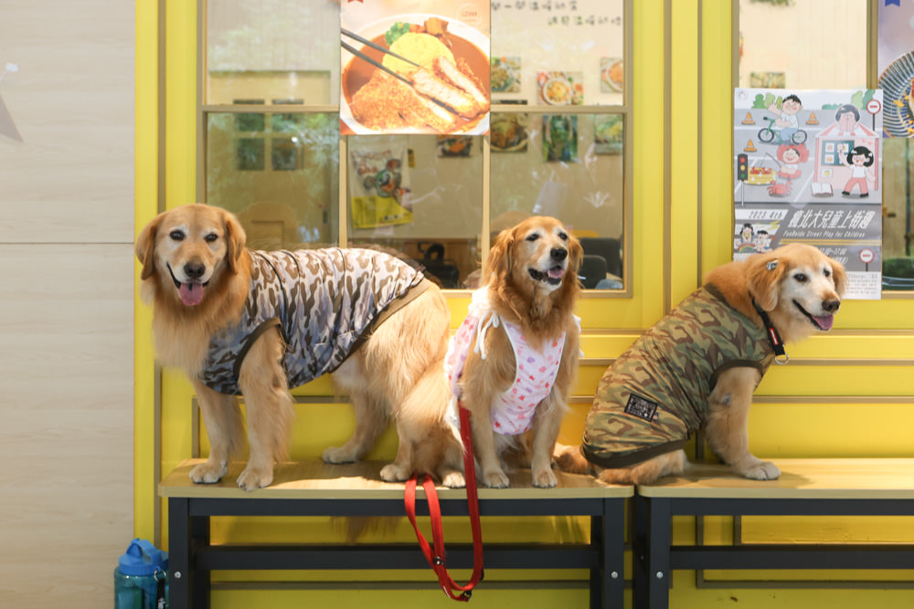新北三峽樹林美食｜私嚐の吃飯北大店。寵物友善餐廳、咖喱丼飯烏龍麵、北大特區美食、超人氣咖喱手作飯