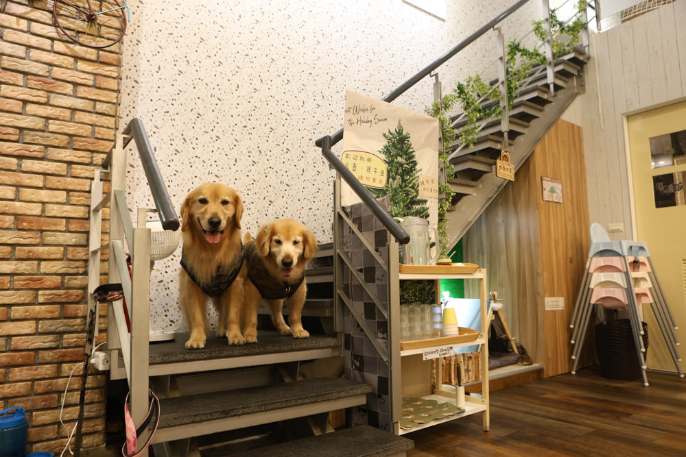 新北三峽樹林美食｜私嚐の吃飯北大店。寵物友善餐廳、咖喱丼飯烏龍麵、北大特區美食、超人氣咖喱手作飯