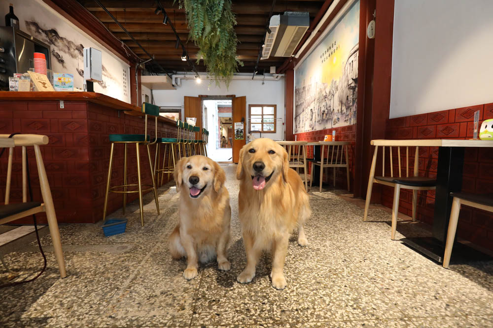 台北大稻埕迪化街美食|稻邸 D. House 親子寵物友善餐廳。絕美老宅、古色古香百年老宅邸、老屋咖啡廳 - 第1張圖 台北大稻埕迪化街美食|稻邸 D. House 親子寵物友善餐廳。絕美老宅、古色古香百年老宅邸、老屋咖啡廳