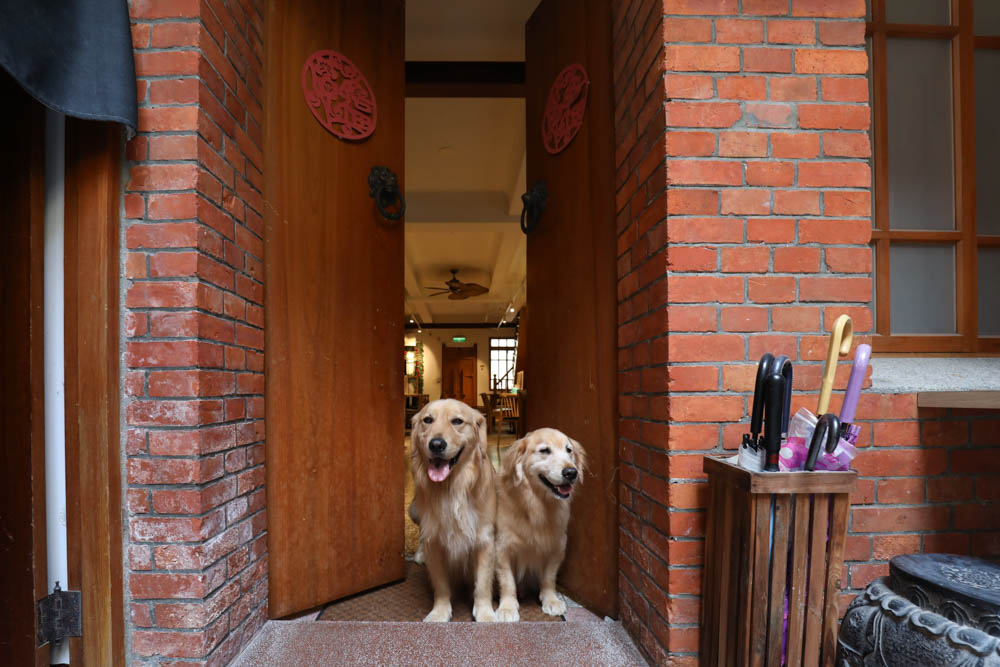 台北大稻埕迪化街美食|稻邸 D. House 親子寵物友善餐廳。絕美老宅、古色古香百年老宅邸、老屋咖啡廳 - 第10張圖 台北大稻埕迪化街美食|稻邸 D. House 親子寵物友善餐廳。絕美老宅、古色古香百年老宅邸、老屋咖啡廳