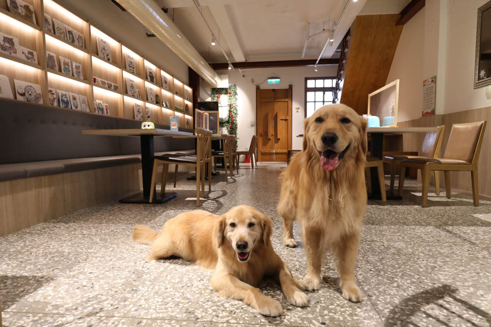 台北大稻埕迪化街美食|稻邸 D. House 親子寵物友善餐廳。絕美老宅、古色古香百年老宅邸、老屋咖啡廳 - 第12張圖 台北大稻埕迪化街美食|稻邸 D. House 親子寵物友善餐廳。絕美老宅、古色古香百年老宅邸、老屋咖啡廳