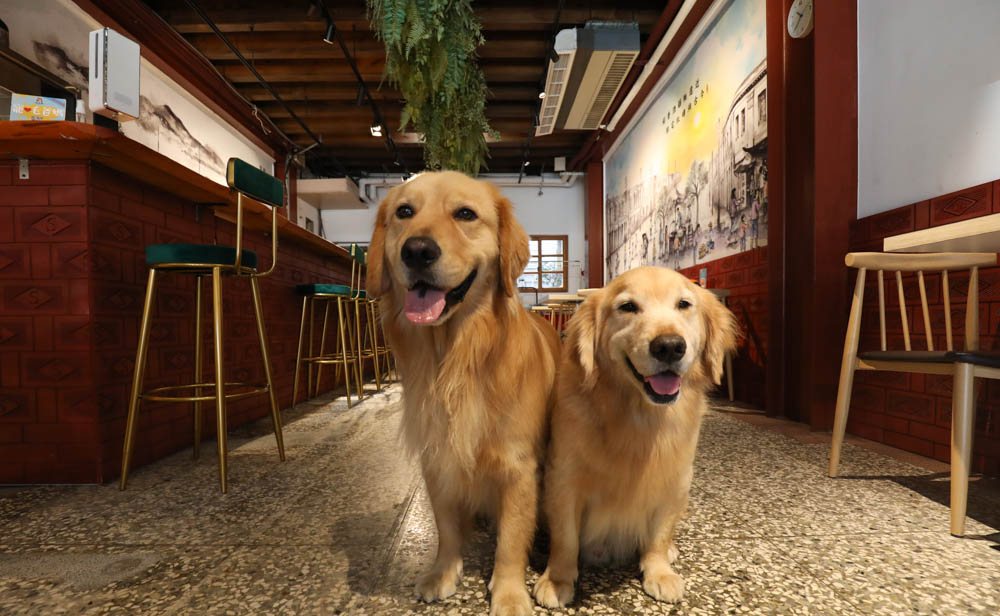台北大稻埕迪化街美食|稻邸 D. House 親子寵物友善餐廳。絕美老宅、古色古香百年老宅邸、老屋咖啡廳 - 第33張圖 台北大稻埕迪化街美食|稻邸 D. House 親子寵物友善餐廳。絕美老宅、古色古香百年老宅邸、老屋咖啡廳