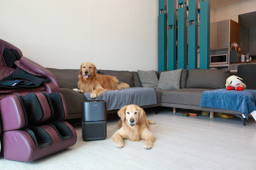 TOSHIBA東芝|PUREGO UV抗菌除臭空氣清淨機 CAF-A400TW(H)。快速去除異味、感受清新空氣、適合寵物家庭、適用5-8坪 - 第19張圖 TOSHIBA東芝|PUREGO UV抗菌除臭空氣清淨機 CAF-A400TW(H)。快速去除異味、感受清新空氣、適合寵物家庭、適用5-8坪