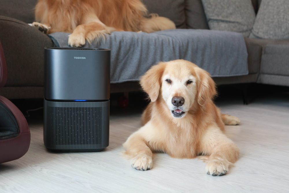TOSHIBA東芝|PUREGO UV抗菌除臭空氣清淨機 CAF-A400TW(H)。快速去除異味、感受清新空氣、適合寵物家庭、適用5-8坪 - 第4張圖 TOSHIBA東芝|PUREGO UV抗菌除臭空氣清淨機 CAF-A400TW(H)。快速去除異味、感受清新空氣、適合寵物家庭、適用5-8坪