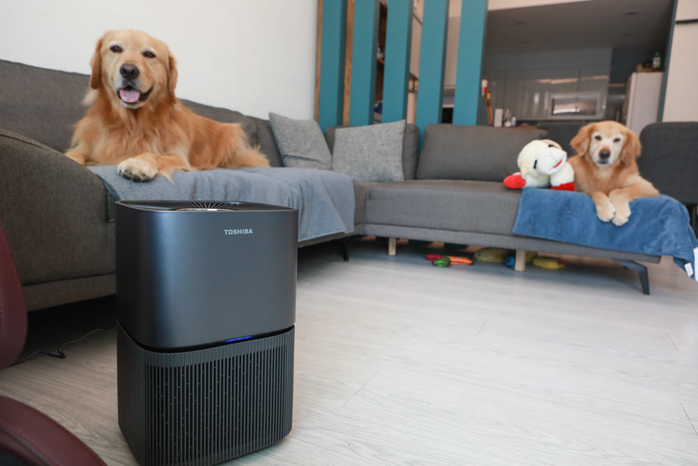 TOSHIBA東芝|PUREGO UV抗菌除臭空氣清淨機 CAF-A400TW(H)。快速去除異味、感受清新空氣、適合寵物家庭、適用5-8坪 - 第5張圖 TOSHIBA東芝|PUREGO UV抗菌除臭空氣清淨機 CAF-A400TW(H)。快速去除異味、感受清新空氣、適合寵物家庭、適用5-8坪