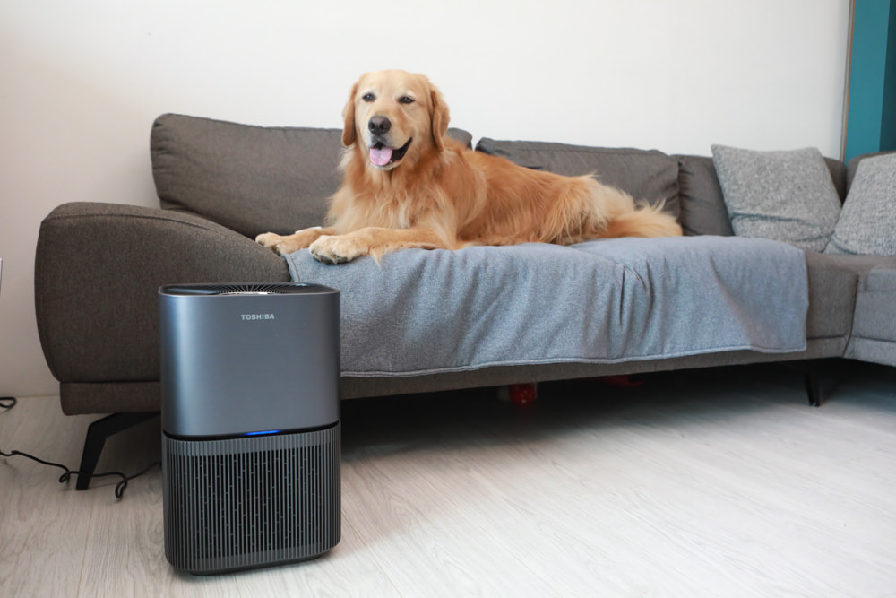 TOSHIBA東芝|PUREGO UV抗菌除臭空氣清淨機 CAF-A400TW(H)。快速去除異味、感受清新空氣、適合寵物家庭、適用5-8坪 - 第20張圖 TOSHIBA東芝|PUREGO UV抗菌除臭空氣清淨機 CAF-A400TW(H)。快速去除異味、感受清新空氣、適合寵物家庭、適用5-8坪