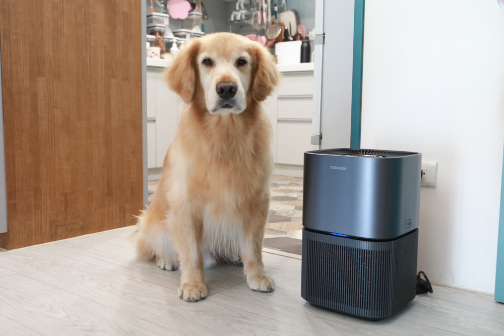 TOSHIBA東芝|PUREGO UV抗菌除臭空氣清淨機 CAF-A400TW(H)。快速去除異味、感受清新空氣、適合寵物家庭、適用5-8坪 - 第24張圖 TOSHIBA東芝|PUREGO UV抗菌除臭空氣清淨機 CAF-A400TW(H)。快速去除異味、感受清新空氣、適合寵物家庭、適用5-8坪