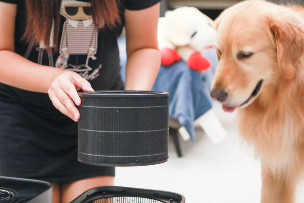 TOSHIBA東芝|PUREGO UV抗菌除臭空氣清淨機 CAF-A400TW(H)。快速去除異味、感受清新空氣、適合寵物家庭、適用5-8坪 - 第10張圖 TOSHIBA東芝|PUREGO UV抗菌除臭空氣清淨機 CAF-A400TW(H)。快速去除異味、感受清新空氣、適合寵物家庭、適用5-8坪