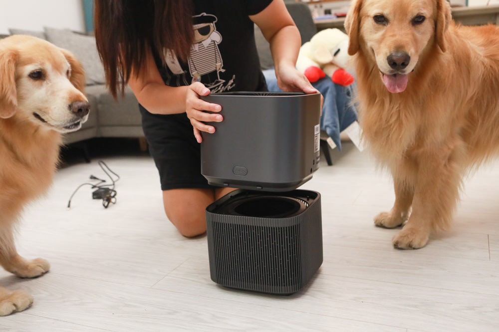 TOSHIBA東芝|PUREGO UV抗菌除臭空氣清淨機 CAF-A400TW(H)。快速去除異味、感受清新空氣、適合寵物家庭、適用5-8坪 - 第8張圖 TOSHIBA東芝|PUREGO UV抗菌除臭空氣清淨機 CAF-A400TW(H)。快速去除異味、感受清新空氣、適合寵物家庭、適用5-8坪