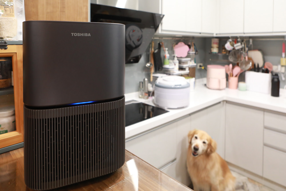 TOSHIBA東芝|PUREGO UV抗菌除臭空氣清淨機 CAF-A400TW(H)。快速去除異味、感受清新空氣、適合寵物家庭、適用5-8坪 - 第1張圖 TOSHIBA東芝|PUREGO UV抗菌除臭空氣清淨機 CAF-A400TW(H)。快速去除異味、感受清新空氣、適合寵物家庭、適用5-8坪