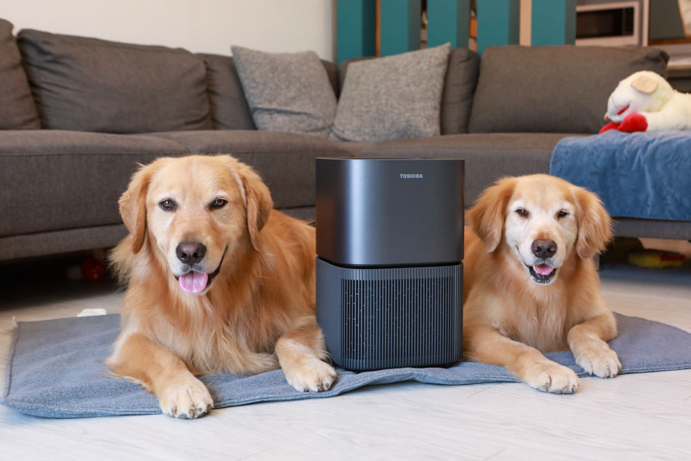 TOSHIBA東芝|PUREGO UV抗菌除臭空氣清淨機 CAF-A400TW(H)。快速去除異味、感受清新空氣、適合寵物家庭、適用5-8坪 - 第2張圖 TOSHIBA東芝|PUREGO UV抗菌除臭空氣清淨機 CAF-A400TW(H)。快速去除異味、感受清新空氣、適合寵物家庭、適用5-8坪