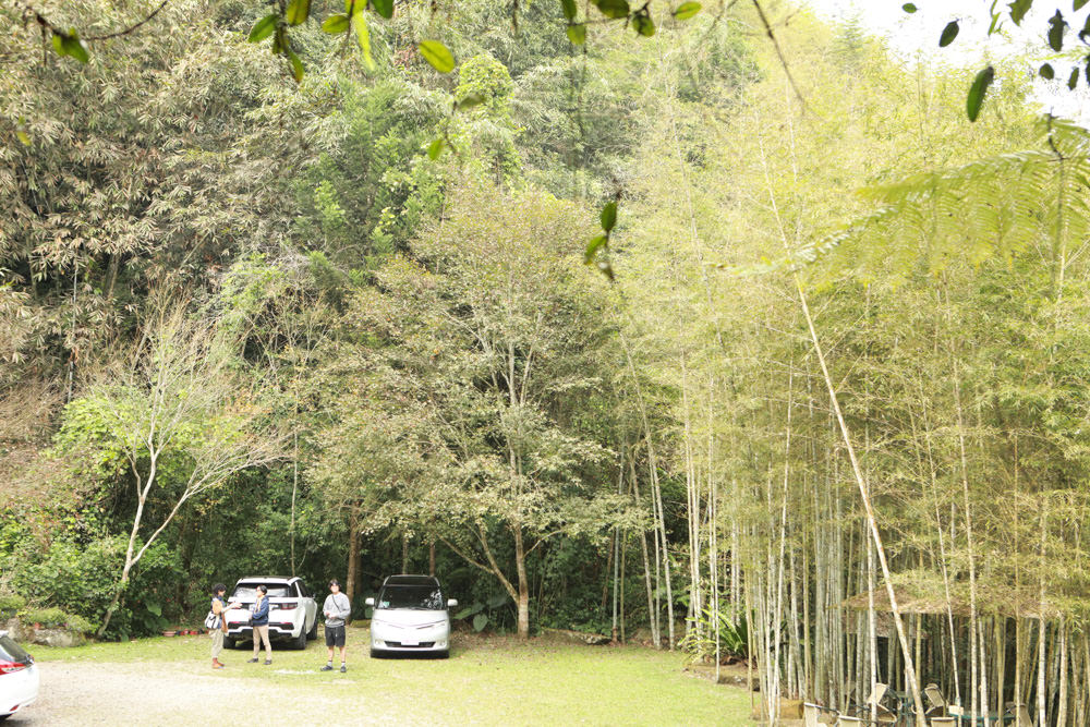 南投景點｜竹亭咖啡。隱藏在溪頭山谷竹林中的仙境、寵物友善餐廳、竹林深處的秘境咖啡廳、鹿谷美食