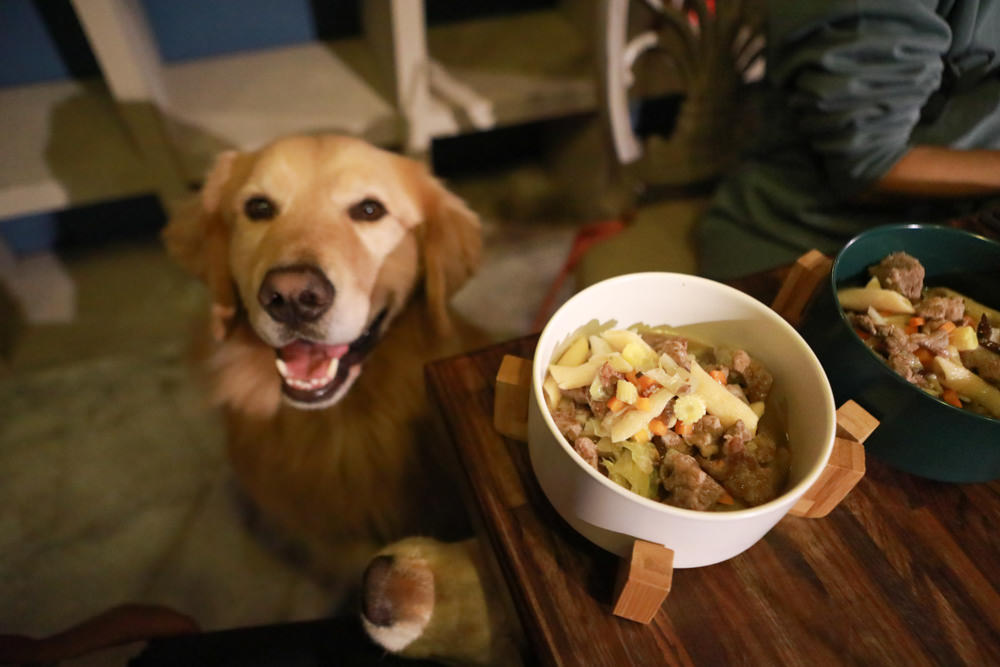台中西區美食｜秋田笠 Izakaya。寵物友善餐廳、居酒屋、燒烤串燒、台中必吃宵夜 、深夜食堂