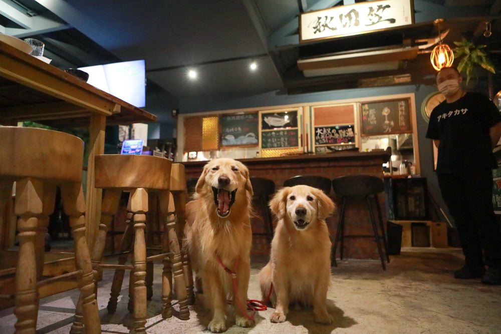 台中西區美食｜秋田笠 Izakaya。寵物友善餐廳、居酒屋、燒烤串燒、台中必吃宵夜 、深夜食堂