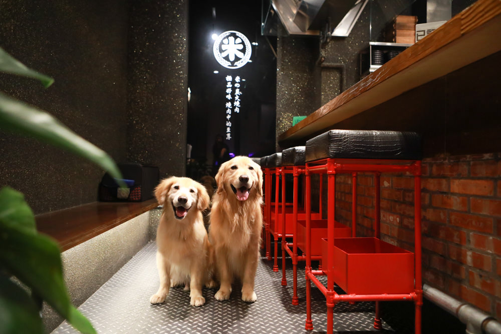 竹北美食|米燒肉炭火小酒館竹北店。新鮮平價燒肉店、單點燒肉、專業烤、必吃燒烤、新竹竹北寵物友善餐廳、小包廂、 - 第9張圖 竹北美食|米燒肉炭火小酒館竹北店。新鮮平價燒肉店、單點燒肉、專業烤、必吃燒烤、新竹竹北寵物友善餐廳、小包廂、