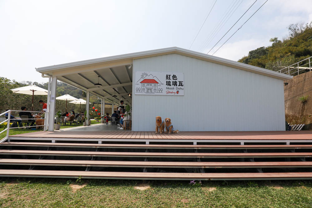 苗栗大湖｜紅色琉璃瓦草莓園 & suhu cafe。寵物友善高架草莓園、網美系咖啡廳、每日新鮮限定草莓千層！