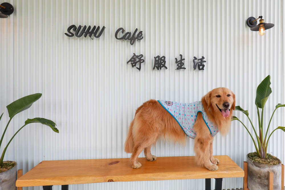 苗栗大湖｜紅色琉璃瓦草莓園 & suhu cafe。寵物友善高架草莓園、網美系咖啡廳、每日新鮮限定草莓千層！