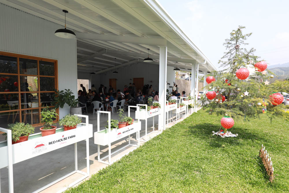 苗栗大湖｜紅色琉璃瓦草莓園 & suhu cafe。寵物友善高架草莓園、網美系咖啡廳、每日新鮮限定草莓千層！