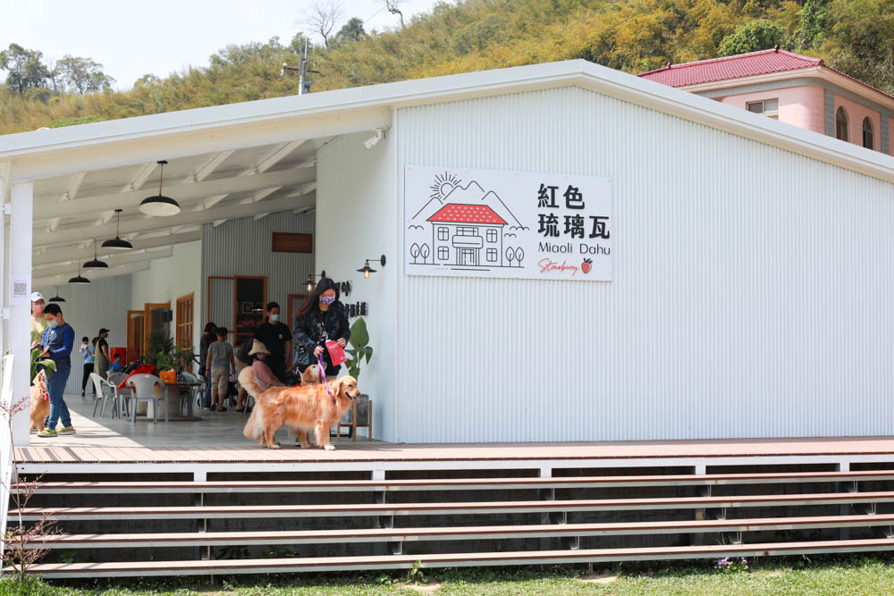 苗栗大湖|紅色琉璃瓦草莓園 & suhu cafe。寵物友善高架草莓園、網美系咖啡廳、每日新鮮限定草莓千層! - 第36張圖 苗栗大湖|紅色琉璃瓦草莓園 & suhu cafe。寵物友善高架草莓園、網美系咖啡廳、每日新鮮限定草莓千層!
