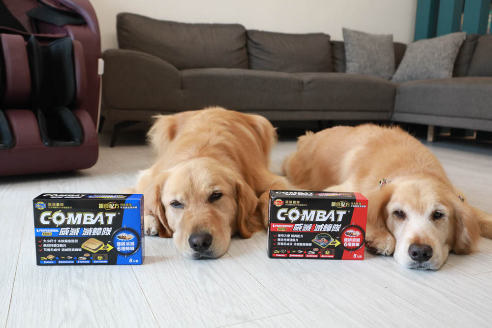 Combat 威滅滅蟑隊 居家除蟲No.1品牌。連鎖消滅6種蟑螂。消滅恐怖小強、保持居家環境乾淨、養寵物家庭也可以安心使用！