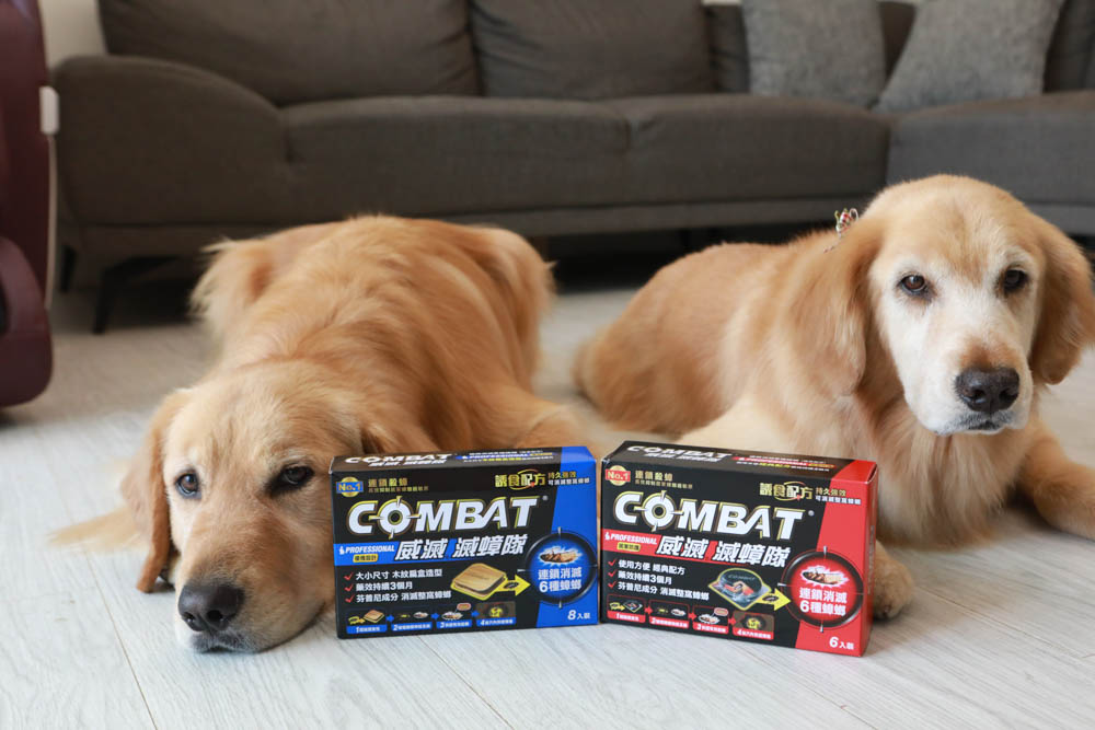 Combat 威滅滅蟑隊 居家除蟲No.1品牌。連鎖消滅6種蟑螂。消滅恐怖小強、保持居家環境乾淨、養寵物家庭也可以安心使用！
