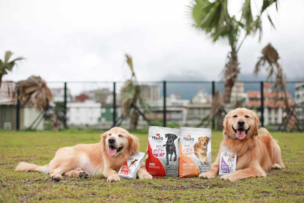 WDJ推薦寵物狗飼料|美國紐樂芙NULO無穀高肉量寵物糧全能犬、體控犬、小型犬。低敏、成犬全齡犬飼料、高含肉量 - 第1張圖 WDJ推薦寵物狗飼料|美國紐樂芙NULO無穀高肉量寵物糧全能犬、體控犬、小型犬。低敏、成犬全齡犬飼料、高含肉量