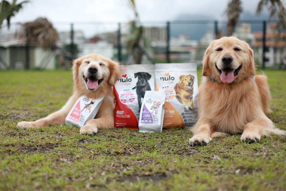 WDJ推薦寵物狗飼料|美國紐樂芙NULO無穀高肉量寵物糧全能犬、體控犬、小型犬。低敏、成犬全齡犬飼料、高含肉量 - 第2張圖 WDJ推薦寵物狗飼料|美國紐樂芙NULO無穀高肉量寵物糧全能犬、體控犬、小型犬。低敏、成犬全齡犬飼料、高含肉量