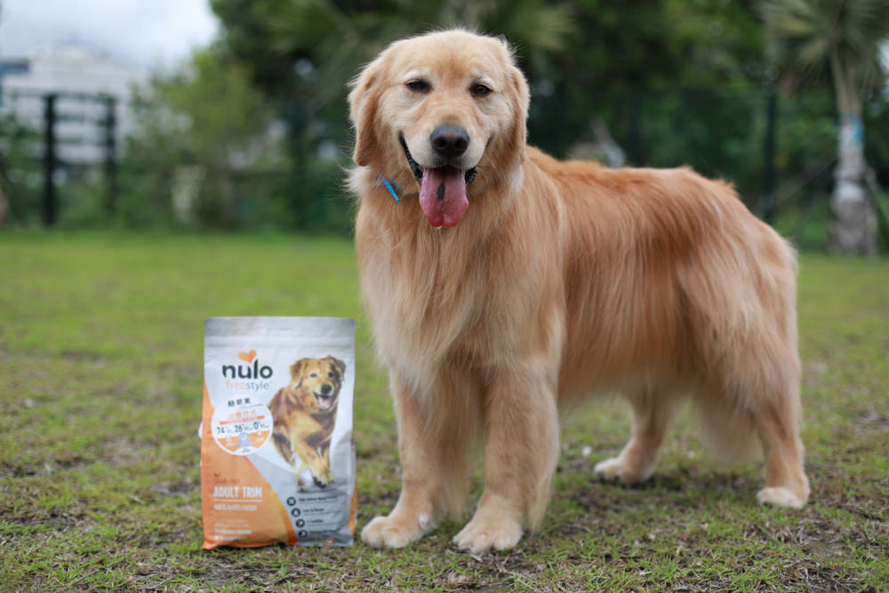 WDJ推薦寵物狗飼料|美國紐樂芙NULO無穀高肉量寵物糧全能犬、體控犬、小型犬。低敏、成犬全齡犬飼料、高含肉量 - 第10張圖 WDJ推薦寵物狗飼料|美國紐樂芙NULO無穀高肉量寵物糧全能犬、體控犬、小型犬。低敏、成犬全齡犬飼料、高含肉量