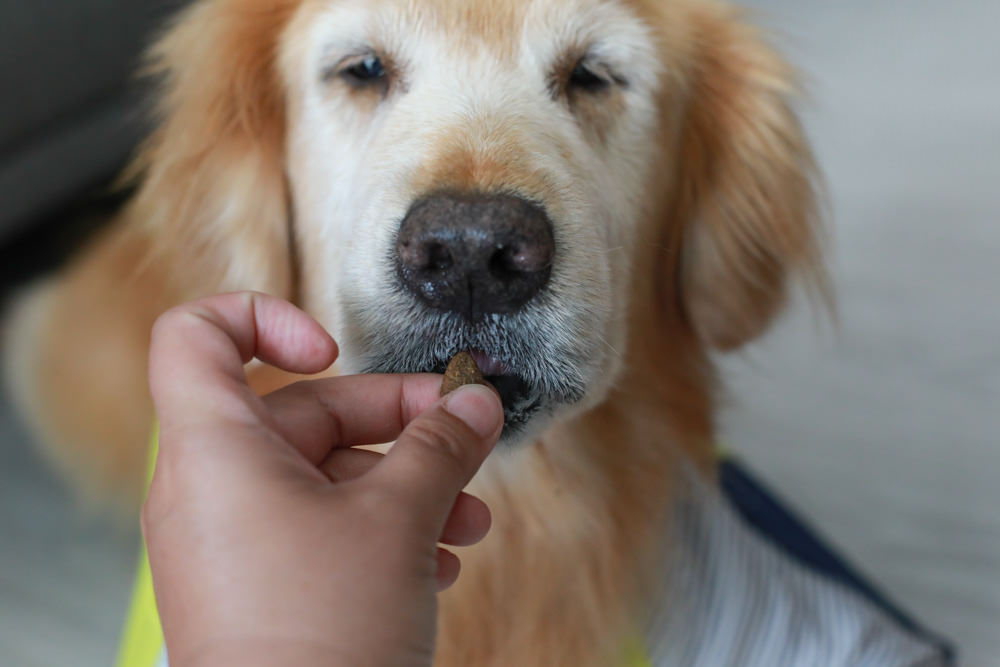 WDJ推薦寵物狗飼料|美國紐樂芙NULO無穀高肉量寵物糧全能犬、體控犬、小型犬。低敏、成犬全齡犬飼料、高含肉量 - 第9張圖 WDJ推薦寵物狗飼料|美國紐樂芙NULO無穀高肉量寵物糧全能犬、體控犬、小型犬。低敏、成犬全齡犬飼料、高含肉量