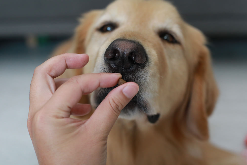WDJ推薦寵物狗飼料|美國紐樂芙NULO無穀高肉量寵物糧全能犬、體控犬、小型犬。低敏、成犬全齡犬飼料、高含肉量 - 第17張圖 WDJ推薦寵物狗飼料|美國紐樂芙NULO無穀高肉量寵物糧全能犬、體控犬、小型犬。低敏、成犬全齡犬飼料、高含肉量