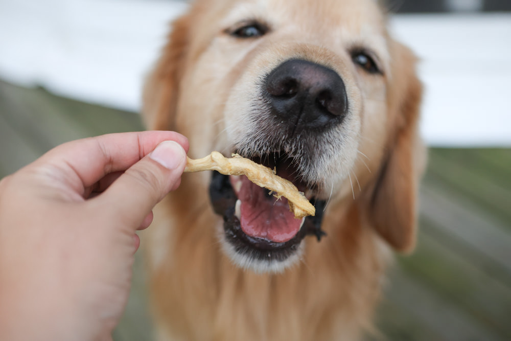 Pure Life 純境澳洲無穀凍乾狗糧系列。澳洲新鮮食材製造、100%鮮肉凍乾、單一肉類優質蛋白質袋鼠肉、無穀飼料乾糧＋原肉凍乾生食