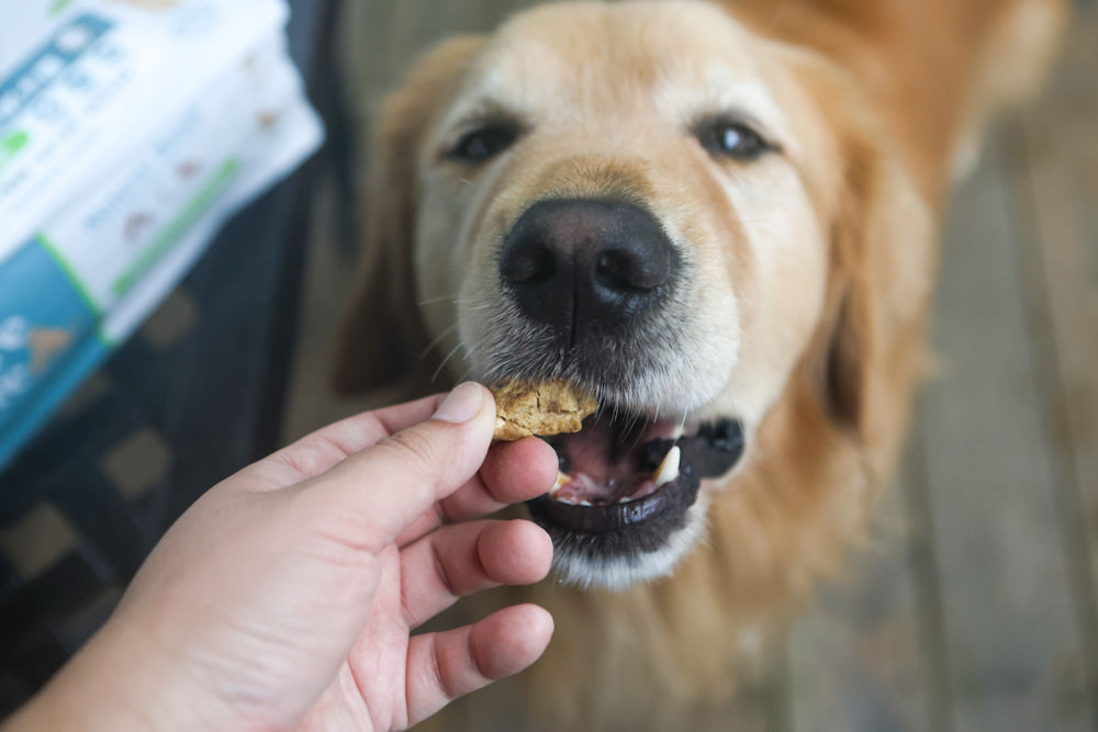 Pure Life 純境澳洲無穀凍乾狗糧系列。澳洲新鮮食材製造、100%鮮肉凍乾、單一肉類優質蛋白質袋鼠肉、無穀飼料乾糧＋原肉凍乾生食