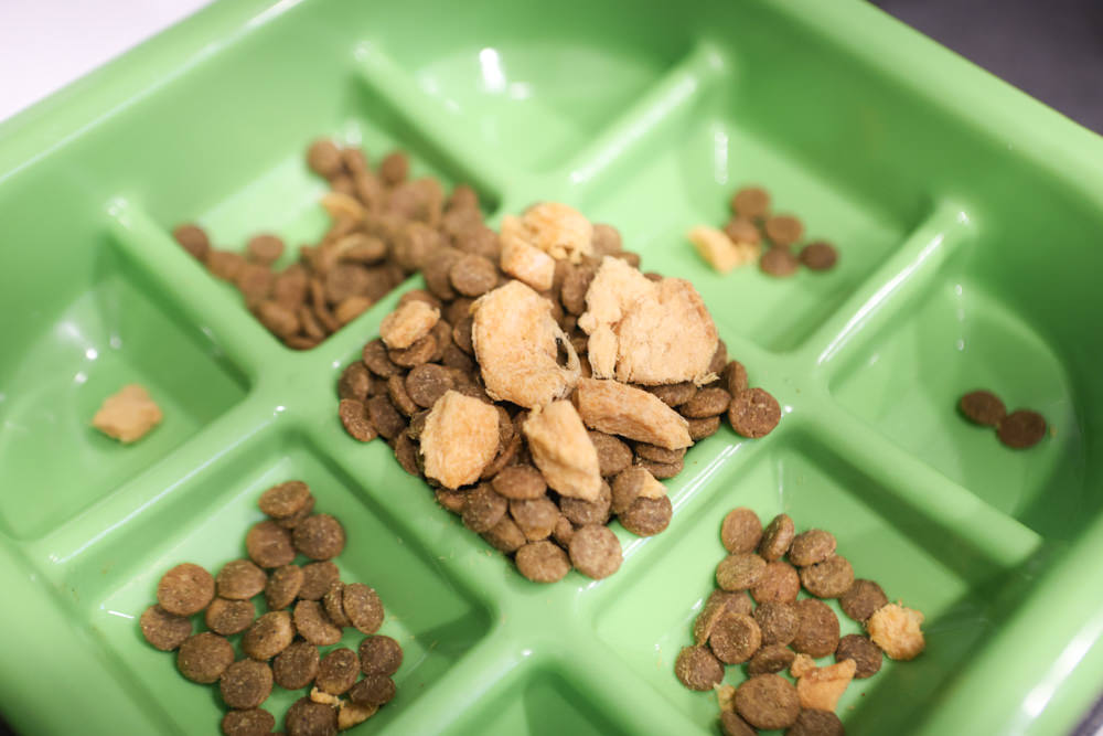 Pure Life 純境澳洲無穀凍乾狗糧系列。澳洲新鮮食材製造、100%鮮肉凍乾、單一肉類優質蛋白質袋鼠肉、無穀飼料乾糧＋原肉凍乾生食