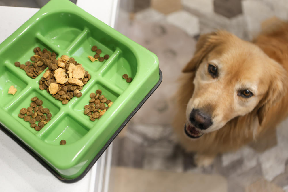 Pure Life 純境澳洲無穀凍乾狗糧系列。澳洲新鮮食材製造、100%鮮肉凍乾、單一肉類優質蛋白質袋鼠肉、無穀飼料乾糧＋原肉凍乾生食