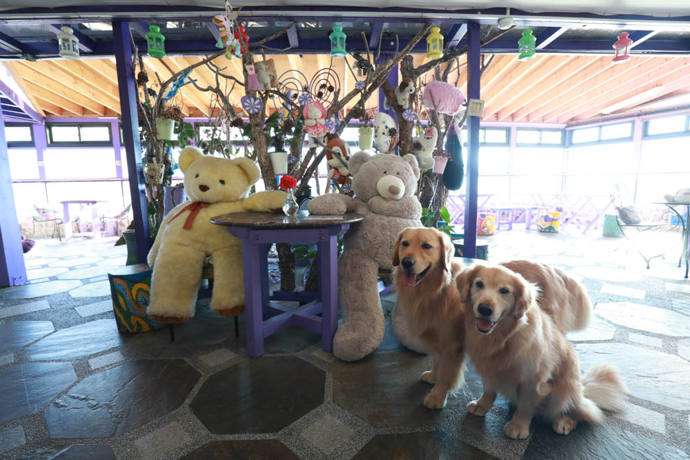 清境瑪格麗特紫屋餐廳｜清境景觀餐廳、南投清境美食、雲南擺夷風味特色合菜、金牌烤雞、套餐