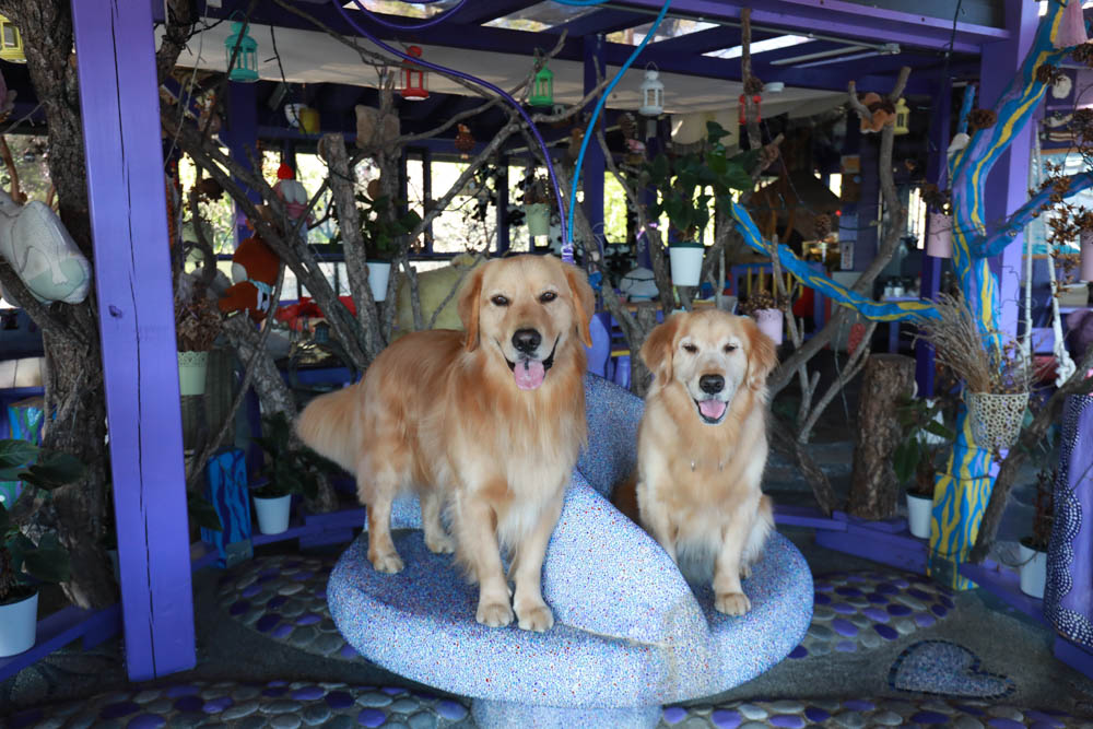 清境瑪格麗特紫屋餐廳｜清境景觀餐廳、南投清境美食、雲南擺夷風味特色合菜、金牌烤雞、套餐