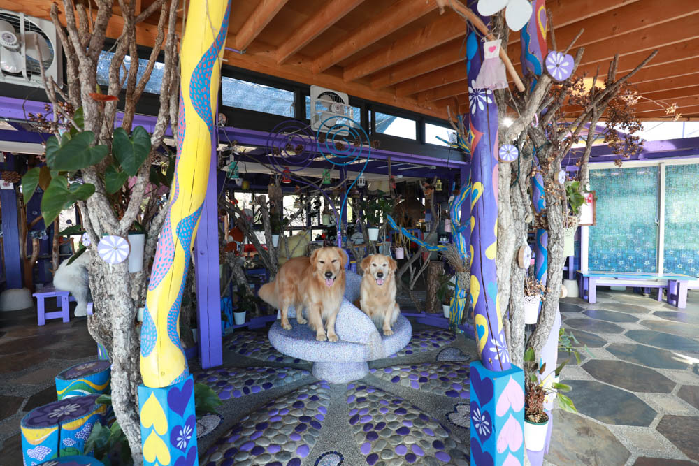 清境瑪格麗特紫屋餐廳｜清境景觀餐廳、南投清境美食、雲南擺夷風味特色合菜、金牌烤雞、套餐