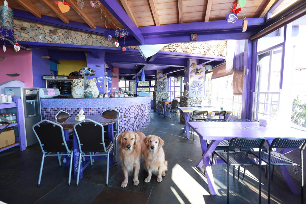 清境瑪格麗特紫屋餐廳｜清境景觀餐廳、南投清境美食、雲南擺夷風味特色合菜、金牌烤雞、套餐